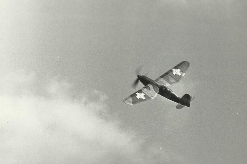 ikaros Jirky Merzy.jpg