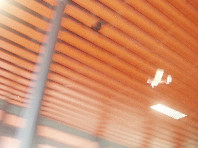 Skylark u stropu.JPG