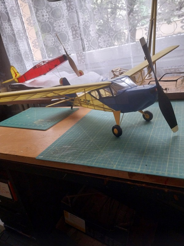 20260911_180318.jpg