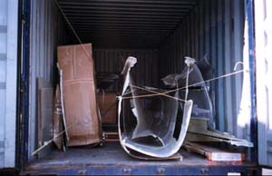 stallion32.jpg