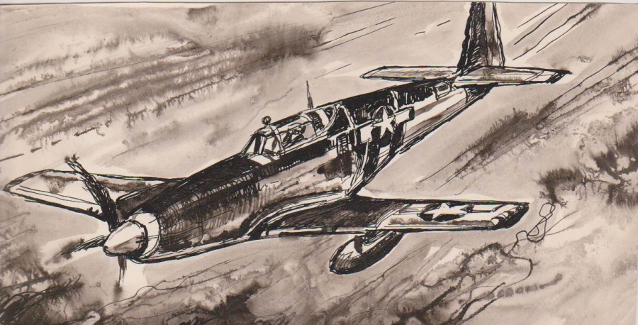 MUSTANG- Merta.jpg
