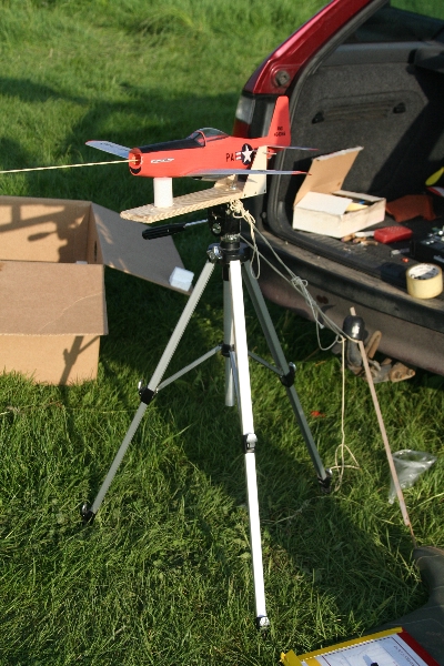  Photo: Ruja, 2008 (c)