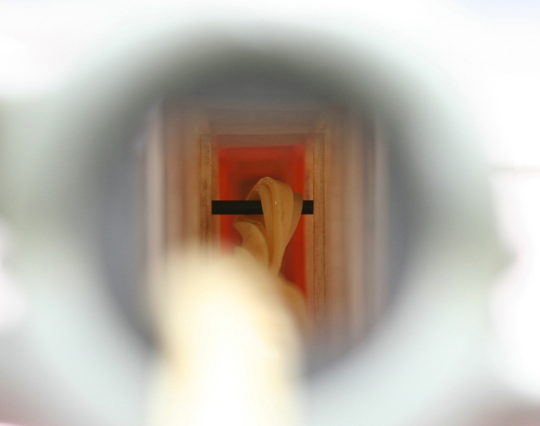  Photo: Ruja, 2008 (c)