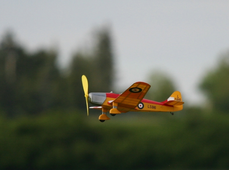  Photo: Ruja, 2008 (c)