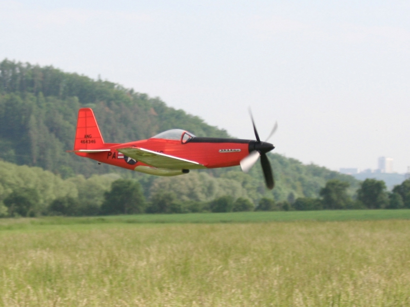  Photo: Ruja, 2008 (c)