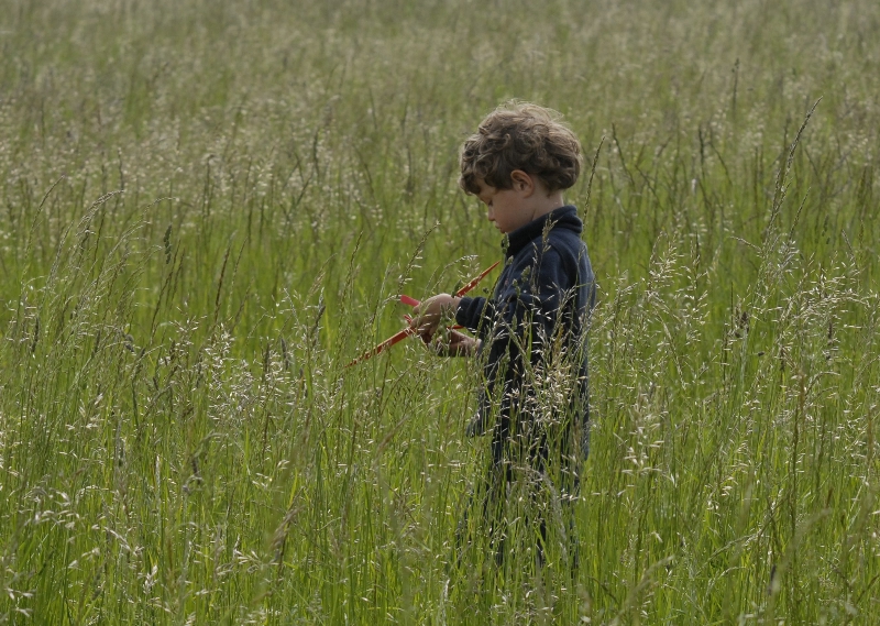  Photo: Petr Pokorný 2008 (c)