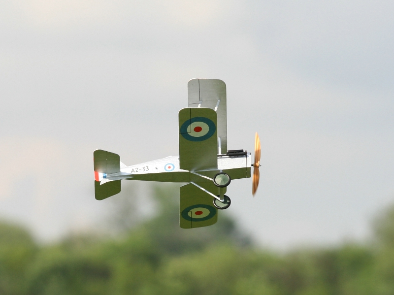  Photo: Ruja, 2008 (c)