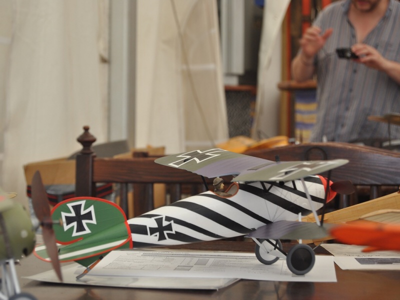Albatros_3.JPG