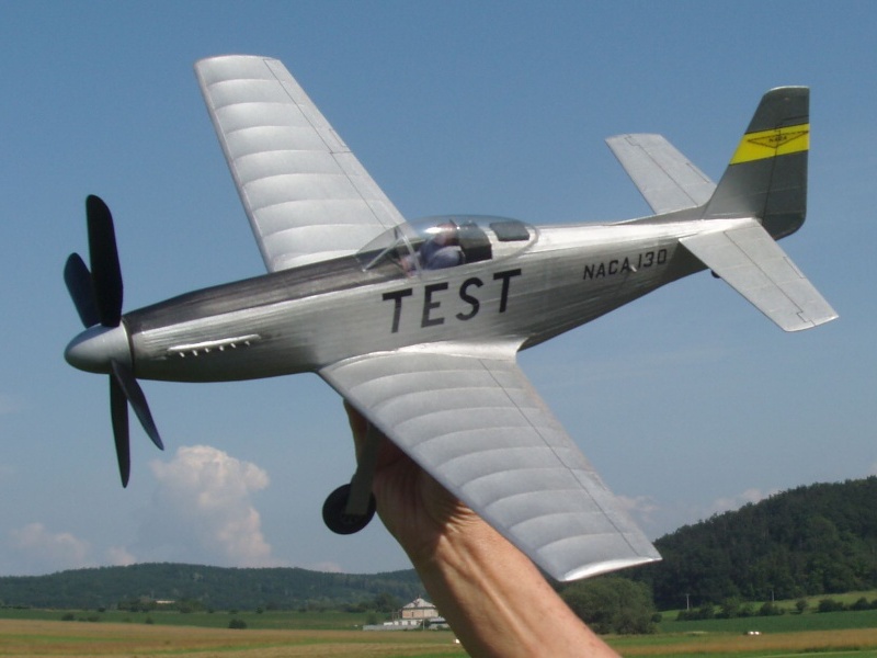 Mustang_2.JPG