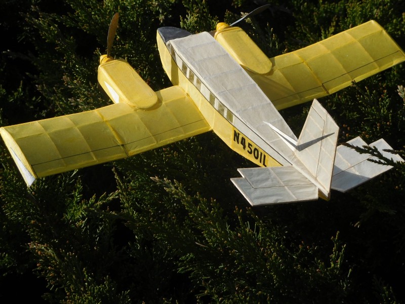 Ze zadu na keři .JPG