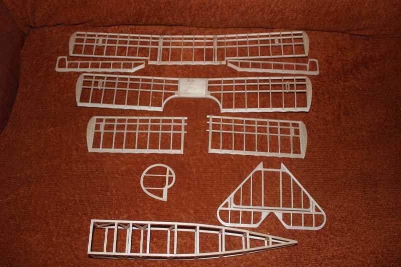 Fokker Dr. I 20210526 003.JPG