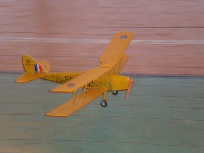 RC-Tiger Mouth_2.jpg