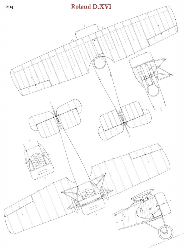 205-1.jpg