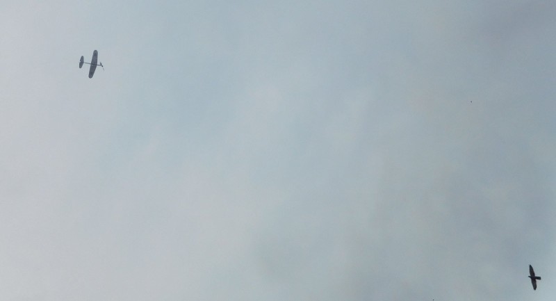 Výš než holub.JPG