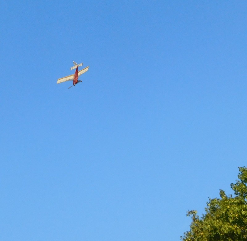 DSCN6521.JPG