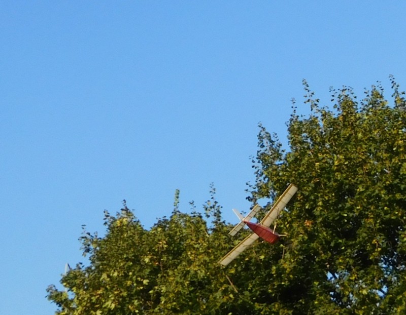 DSCN6506.JPG