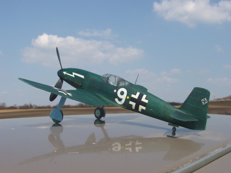 Můj He-100 D.JPG