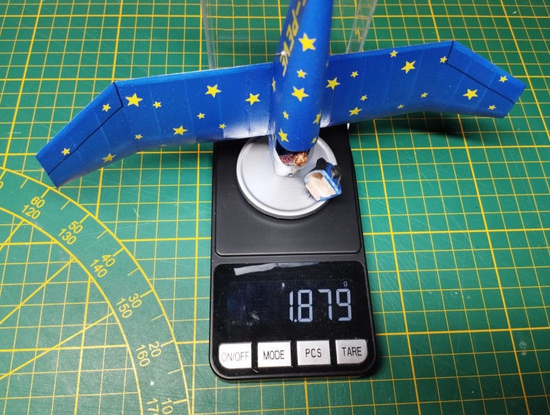 020_weight with pilot.jpg