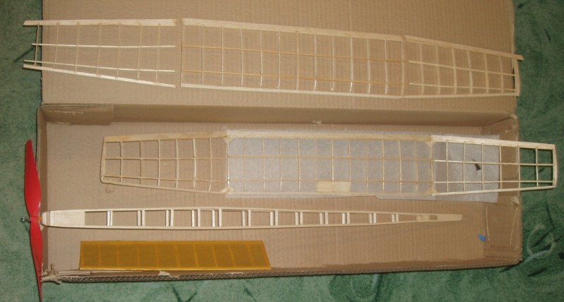 Marušky z kroužku.JPG