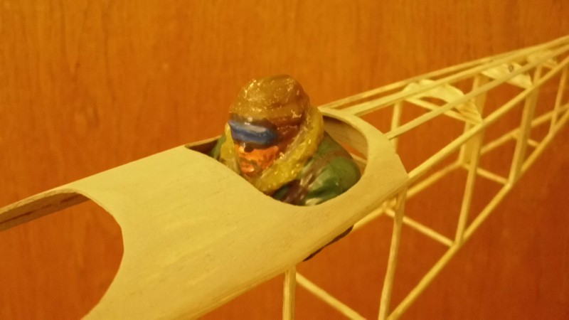 pilot detail.JPG