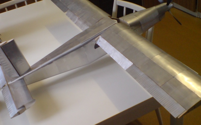 IV flaps (2).JPG