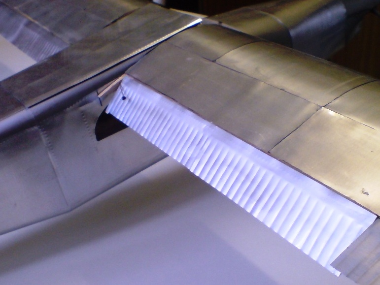 IV flaps (3).JPG