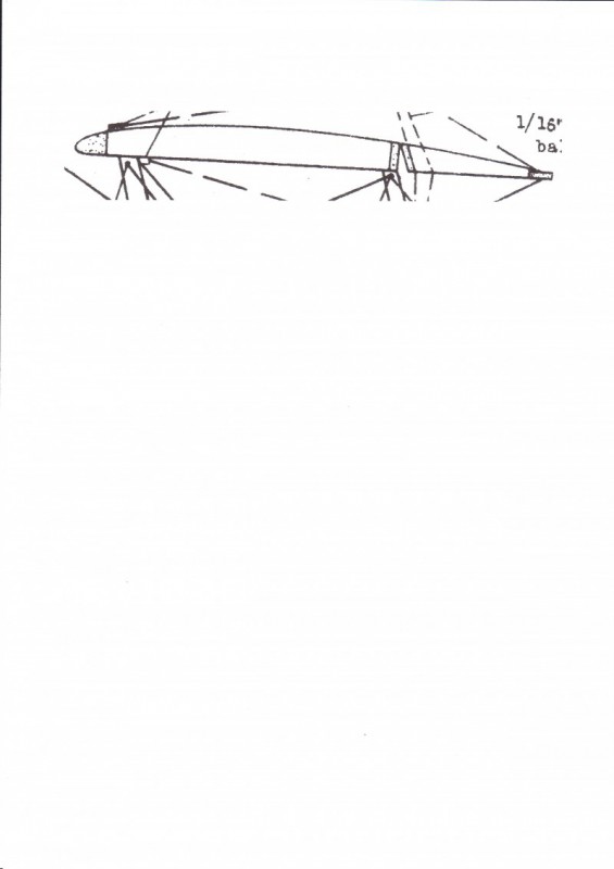 IMG.jpg