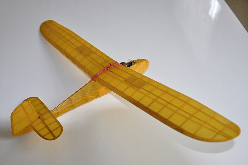 DSC_6103.JPG