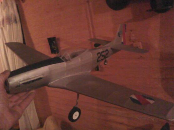 mustang FAU F51D 252 011.JPG