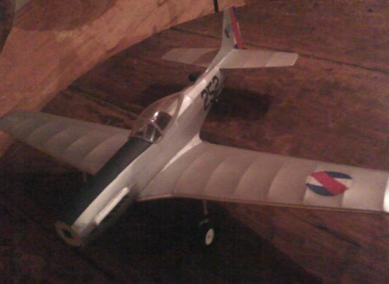 mustang FAU F51D 252 012.JPG