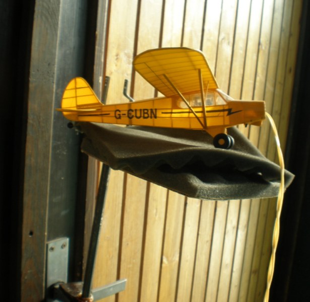Piper Viktora.jpg
