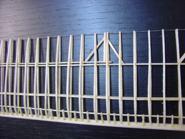 DSC08328.JPG