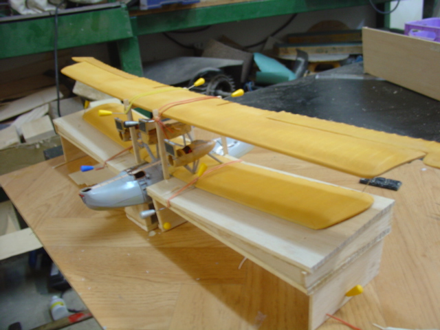 DSC08382.JPG