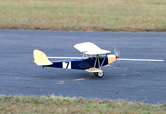 sparrowi_36side.jpg