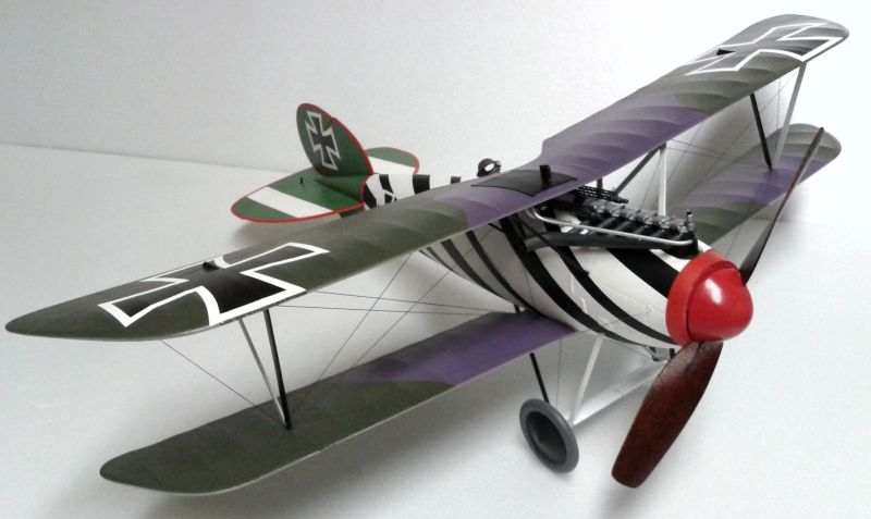 Alb 6.jpg