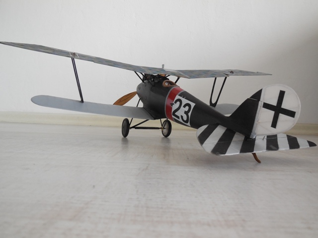 Pfalz.JPG