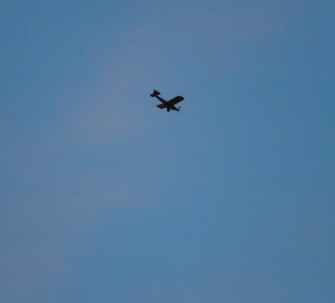 Farman.jpg
