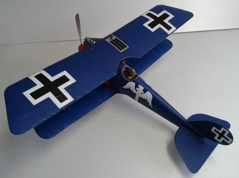 Pfalz 02.jpg