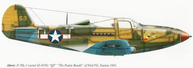 Pantie_Bandit_camouflage.JPG