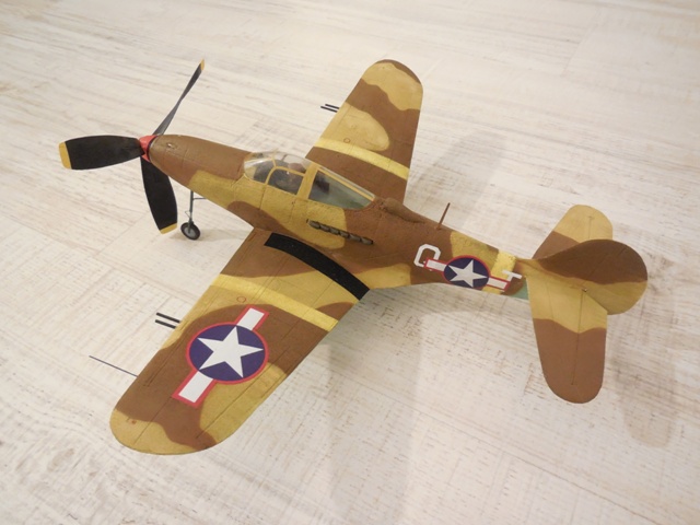 P39_a.JPG