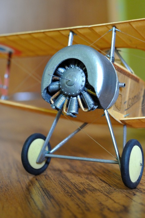 DSC_7561_2.jpg