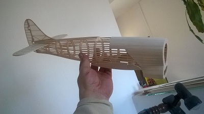WP_20150207_001.jpg