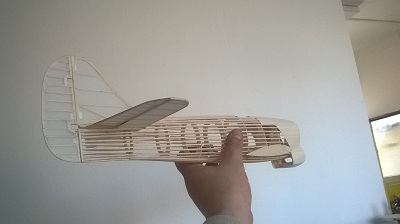 WP_20150207_004.jpg