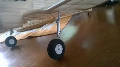WP_20150503_001.jpg