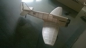 WP_20150503_005.jpg
