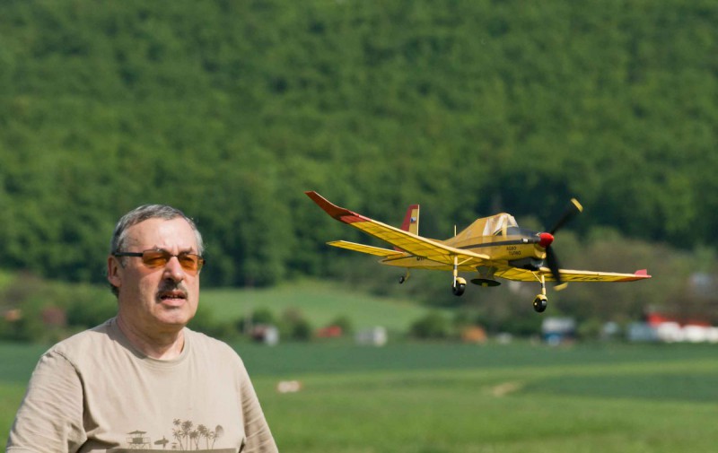 006-Medlanky-Bumble-Bee.jpg