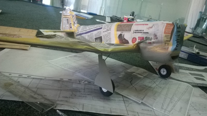 WP_20150516_002.jpg