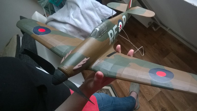 WP_20160427_006.jpg