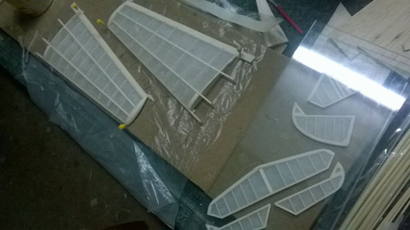 WP_20160911_003.jpg