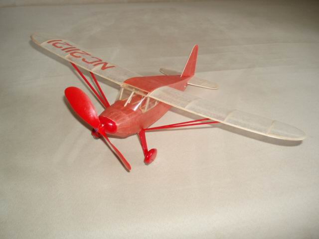 P1010698.jpg